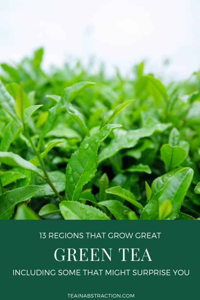 where is green tea grown pinterest image