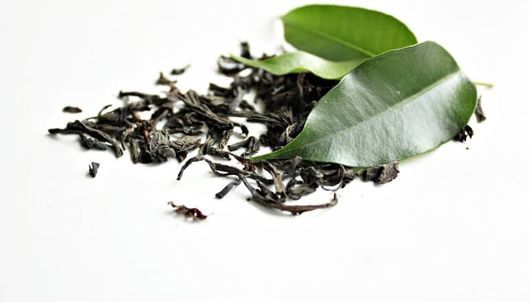 green tea leaves on a white background