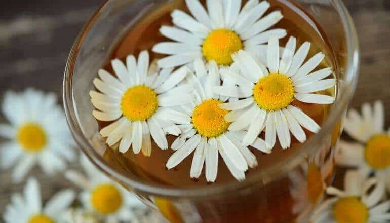 How To Make Chamomile Tea Taste Better (17 Examples) - Tea ...