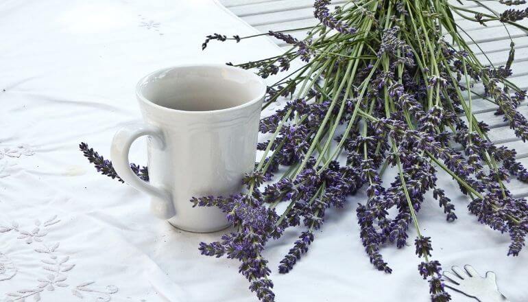 cup of lavender tea