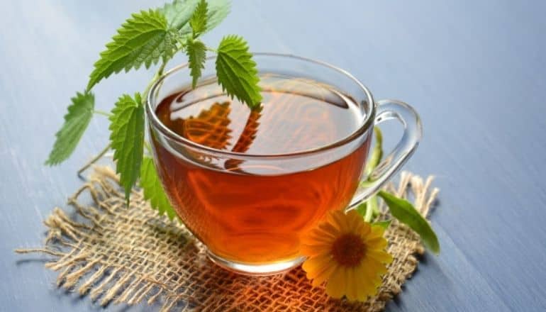 calendula tea