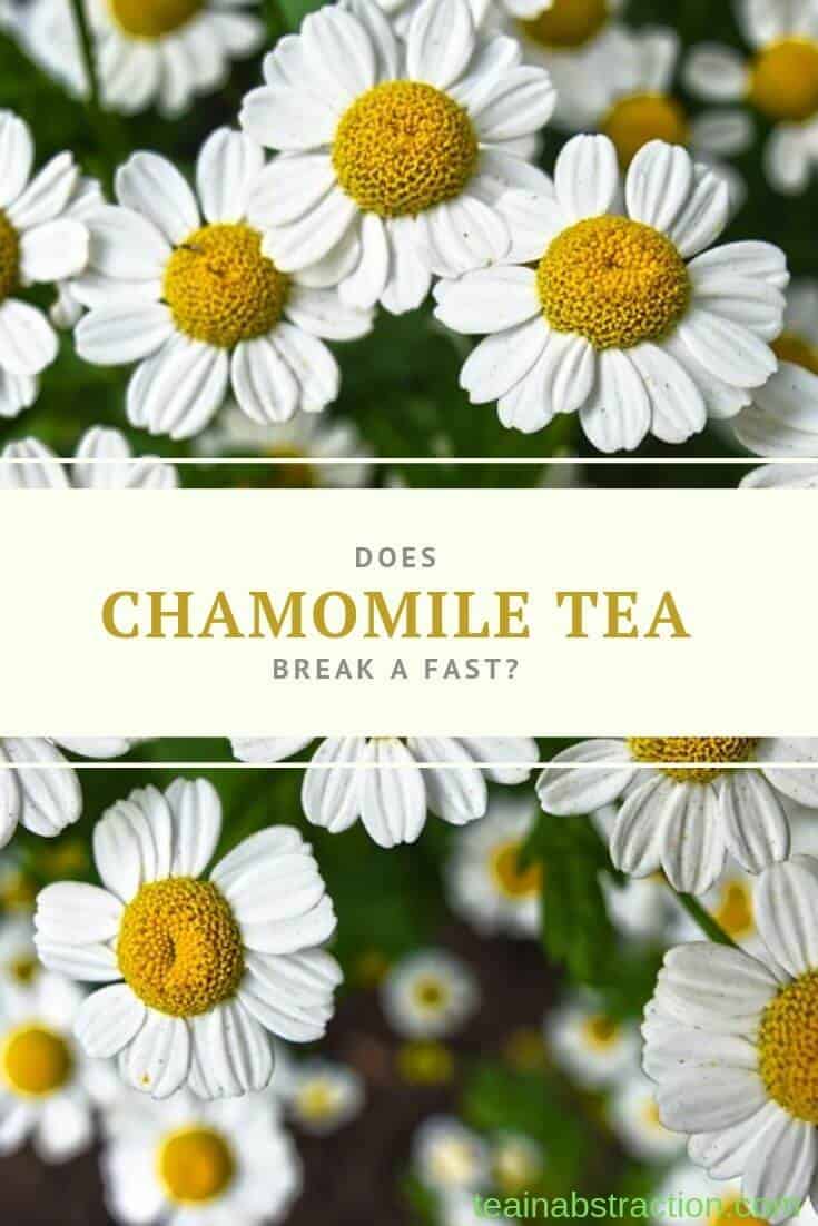 does chamomile tea break a fast pinterest image