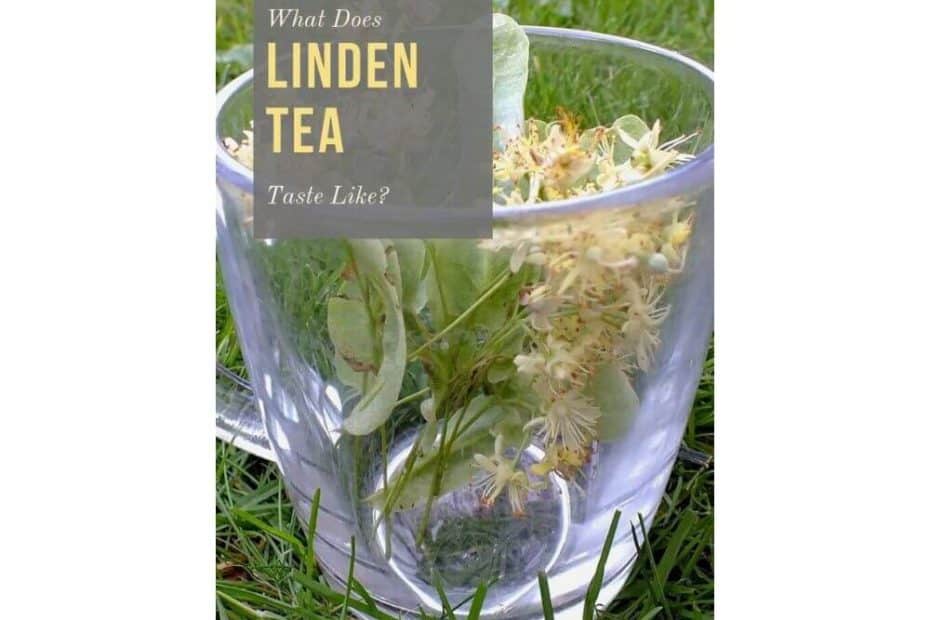 linden-flower-tea-tea-in-abstraction