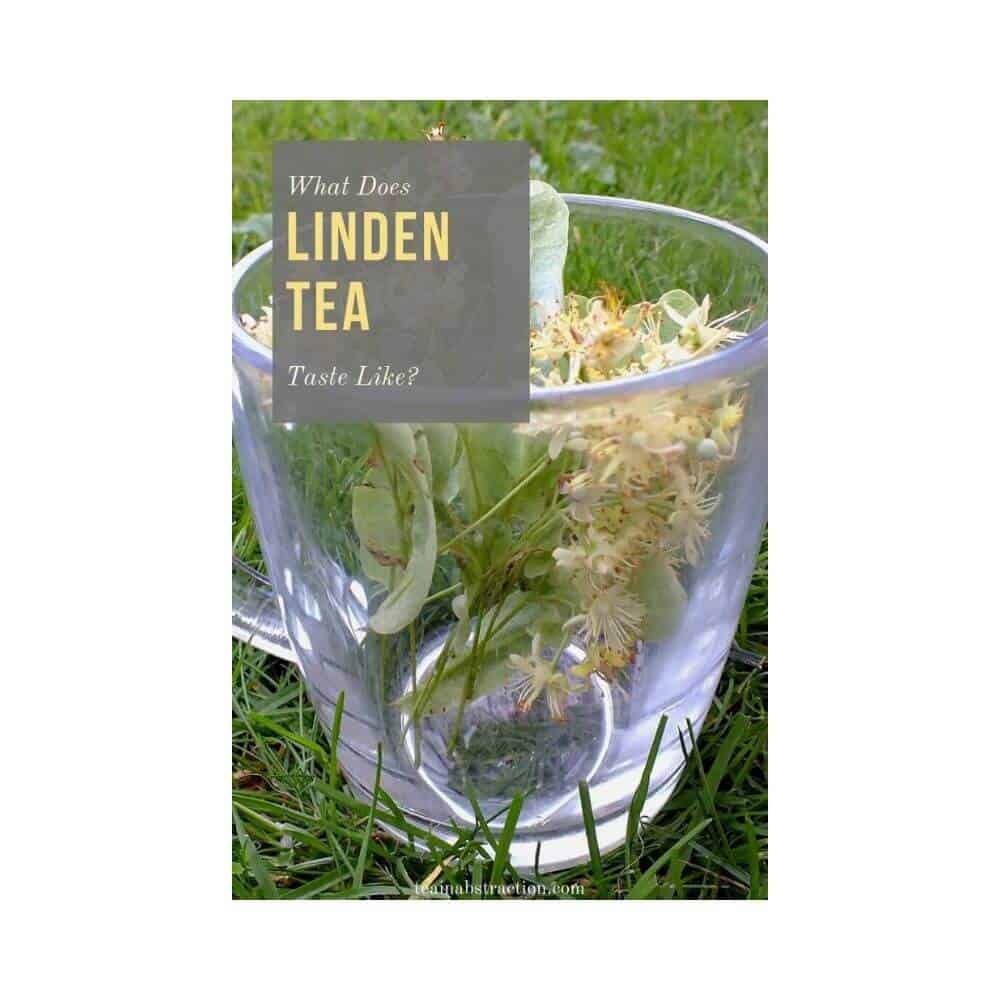 What Does Linden Flower Tea Taste Like? A Hidden Floral Gem? Tea In