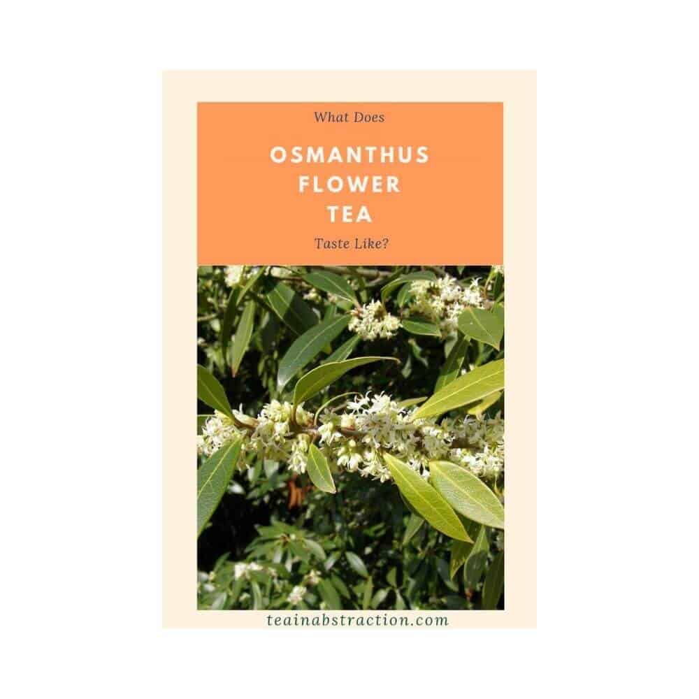 Osmanthus Tea Taste