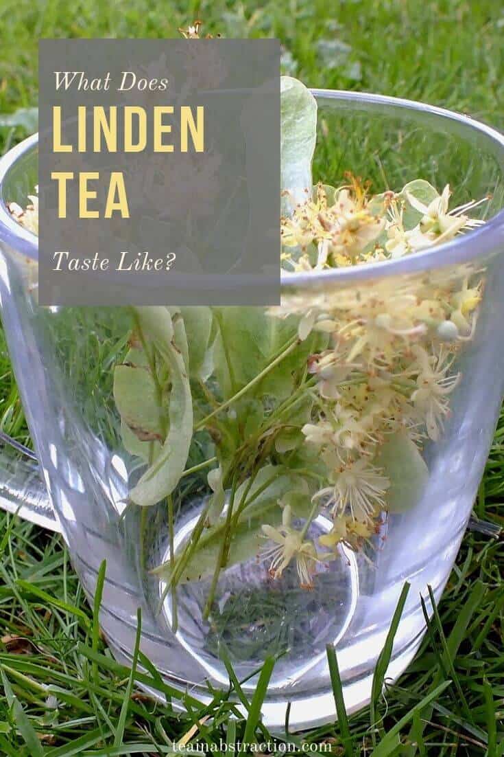 What Does Linden Flower Tea Taste Like? Tea In Abstraction