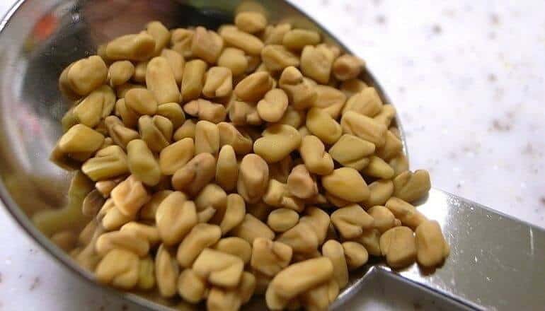 fenugreek seeds on a spoon