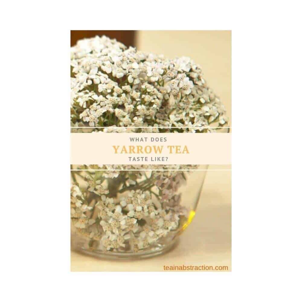 yarrow tea in a glass cup