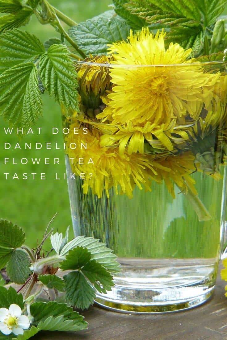 WhatDoesDandelionFlowerTeaTasteLike_ Tea In Abstraction