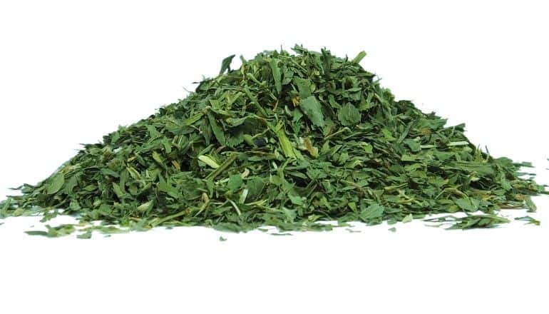 pile of alfalfa leaf tea