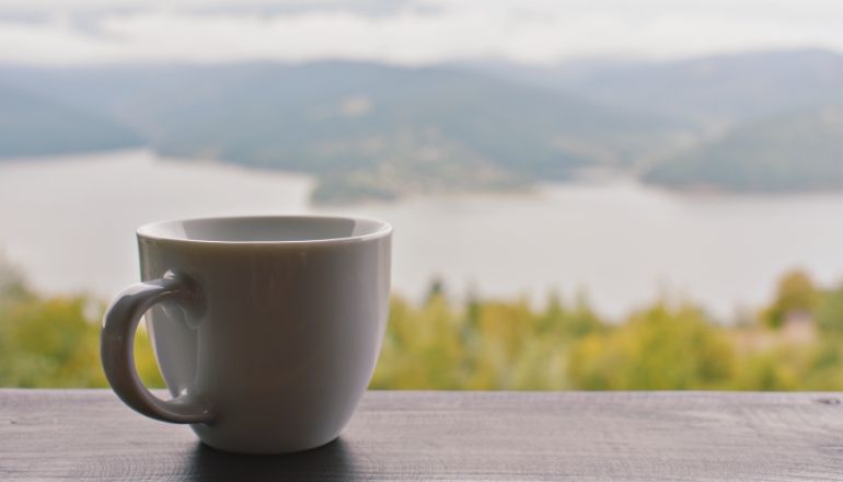 cup of tea overlooking nature