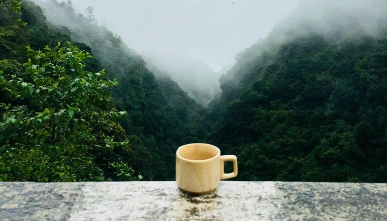 cup on a table overlooking a valley