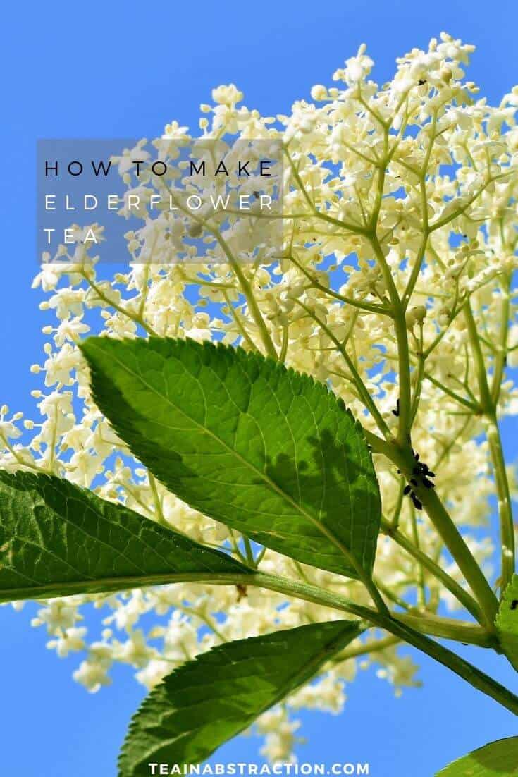 how to make elderflower tea pinterest image