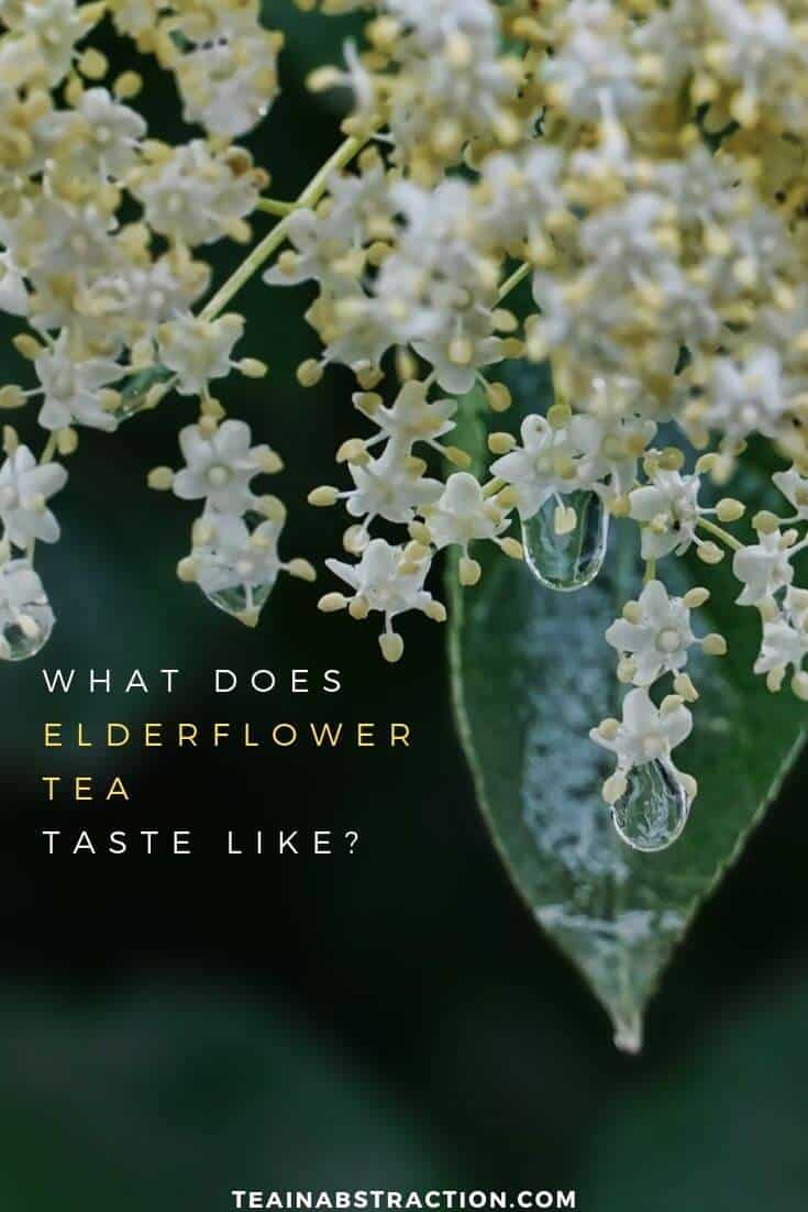 what does elderflower tea taste like pinterest image