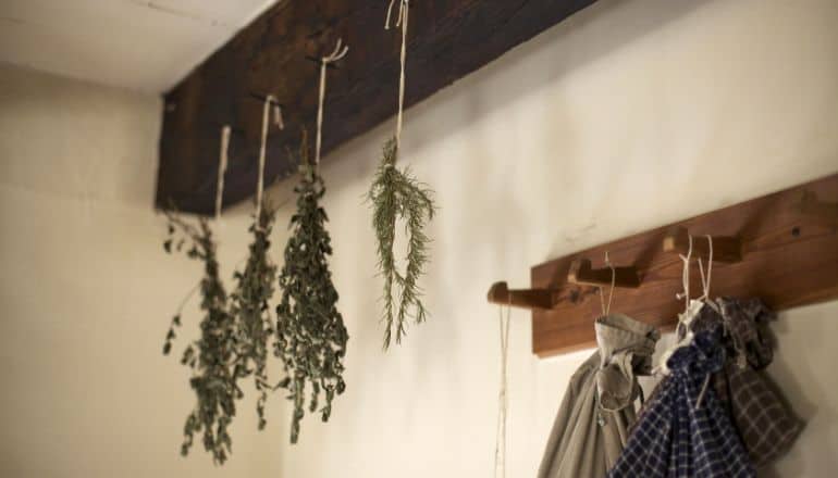 rosemary hanging on wall