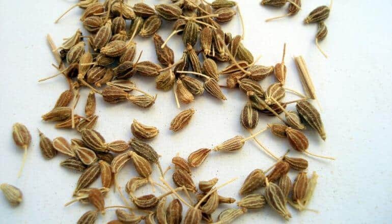anise seeds on table