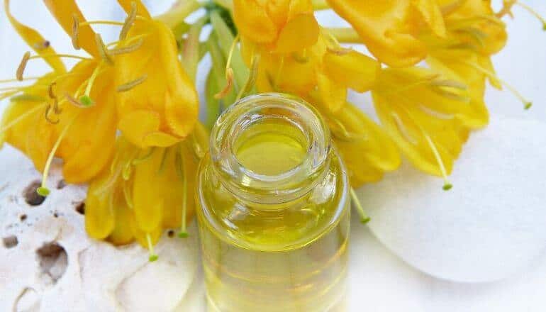 honeysuckle flower and honeysuckle oil