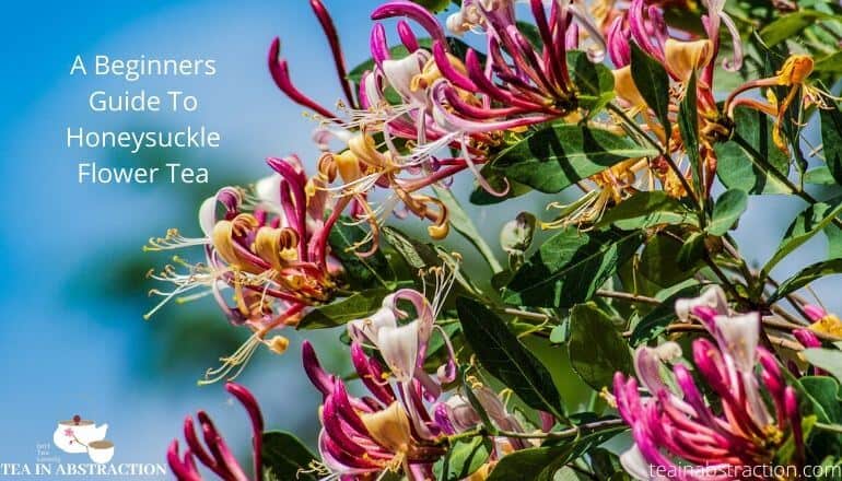 honeysuckle flower tea benefits featured image