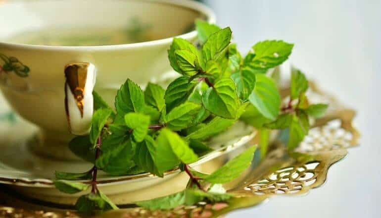 cup of peppermint tea with fresh peppermint next to it