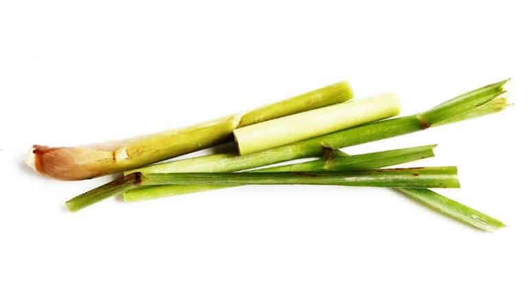 lemongrass