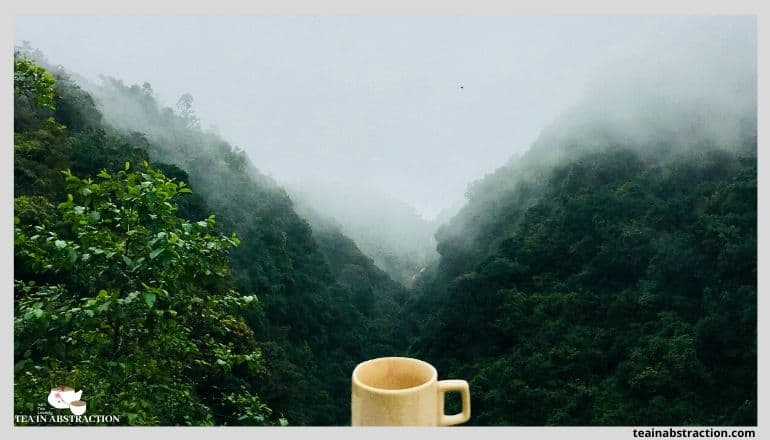 cup of tea overlooking green valley
