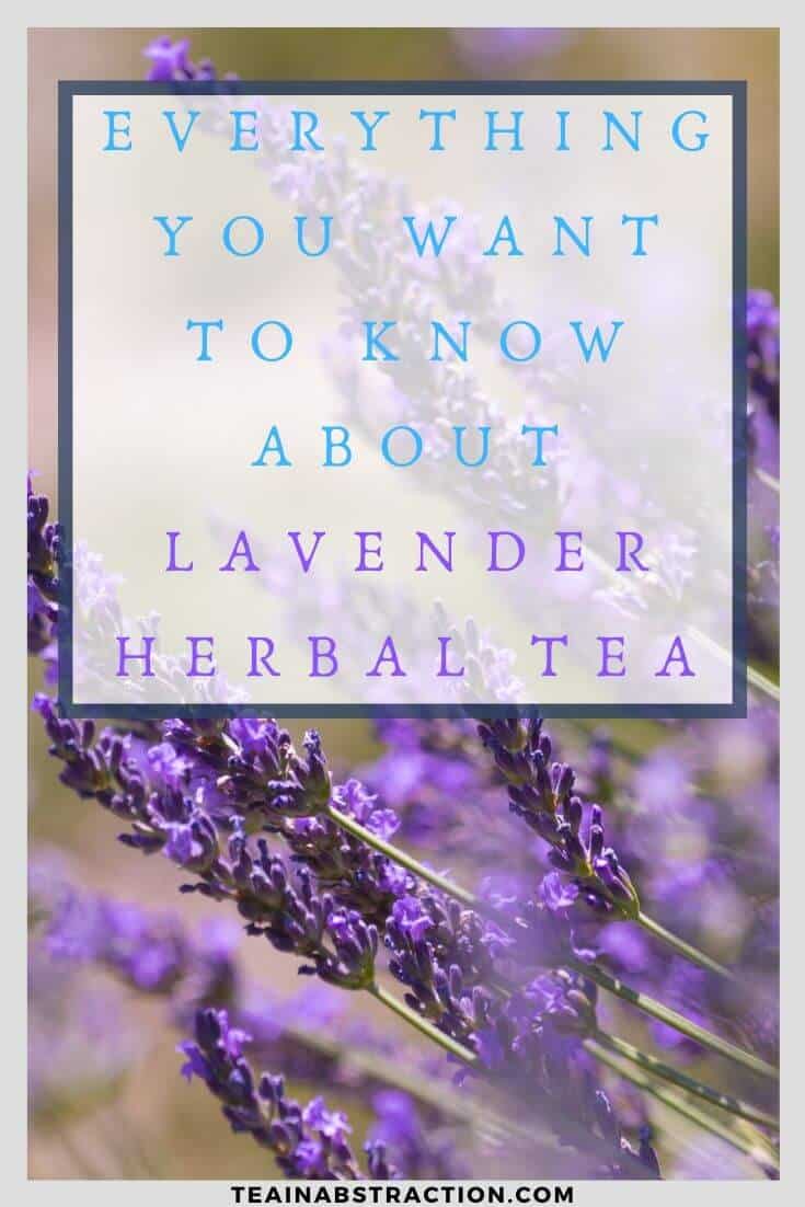 Everything you need to know about lavender tea pinterest image