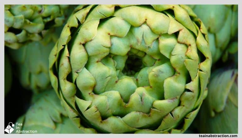 close up of an artichoke