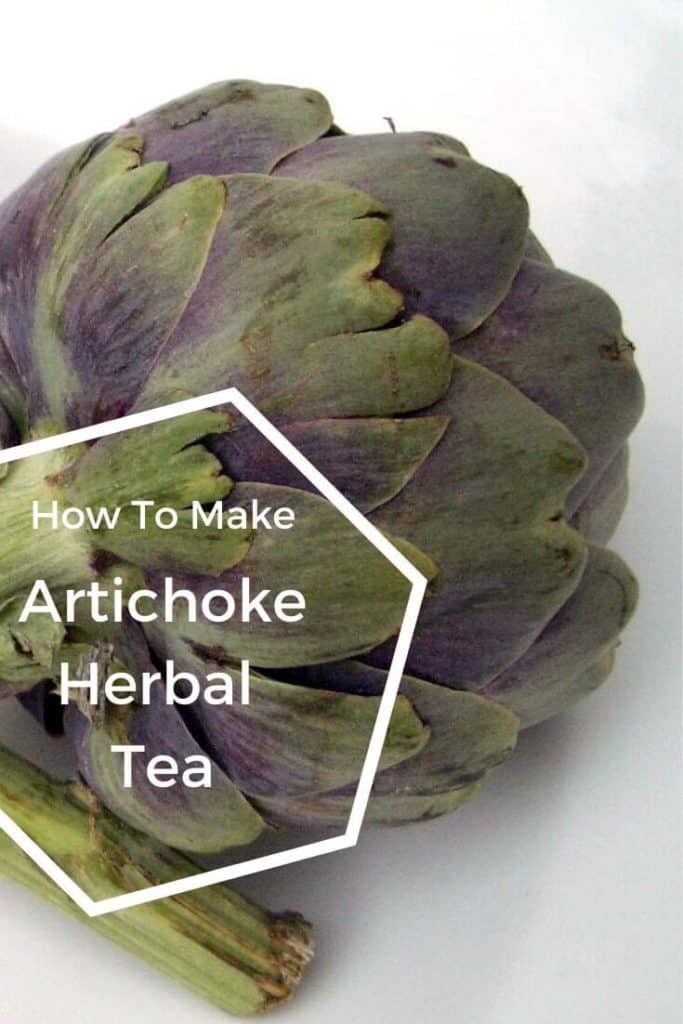 large artichoke on a white table