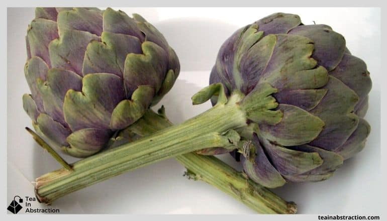 2 artichokes with long stems laying on a table