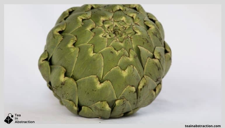large green artichoke head sitting on a white table with a white background