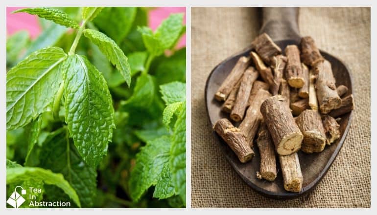 side by side images of peppermint leaves and licorice root