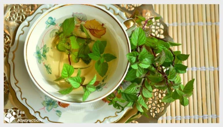 cup of peppermint tea with fresh peppermint leaves on the side of the saucer