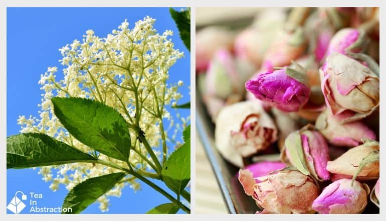 image of dried rose buds and fresh elderflowers