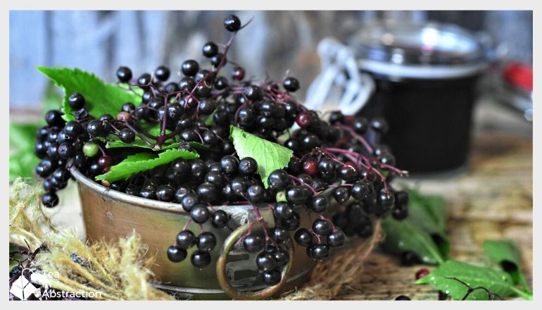 elderberries ina tin pot on a table with elderberry juice in the background