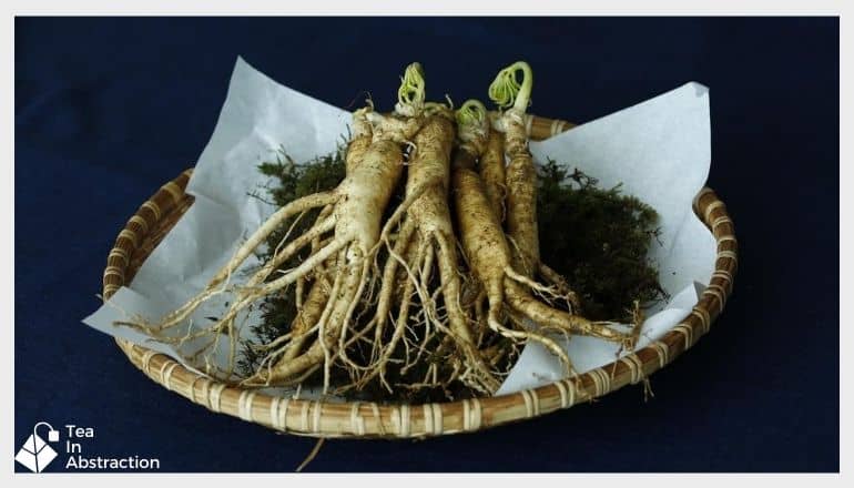 fresh ginseng root on a plate