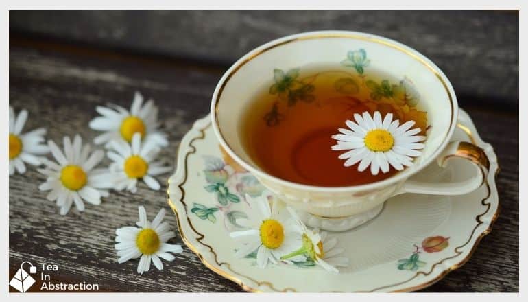 chamomile tea in a white cup on a saucer with a fresh chamomile flower in the cup. chamomile flowers are also strewb about the table next to the cup 