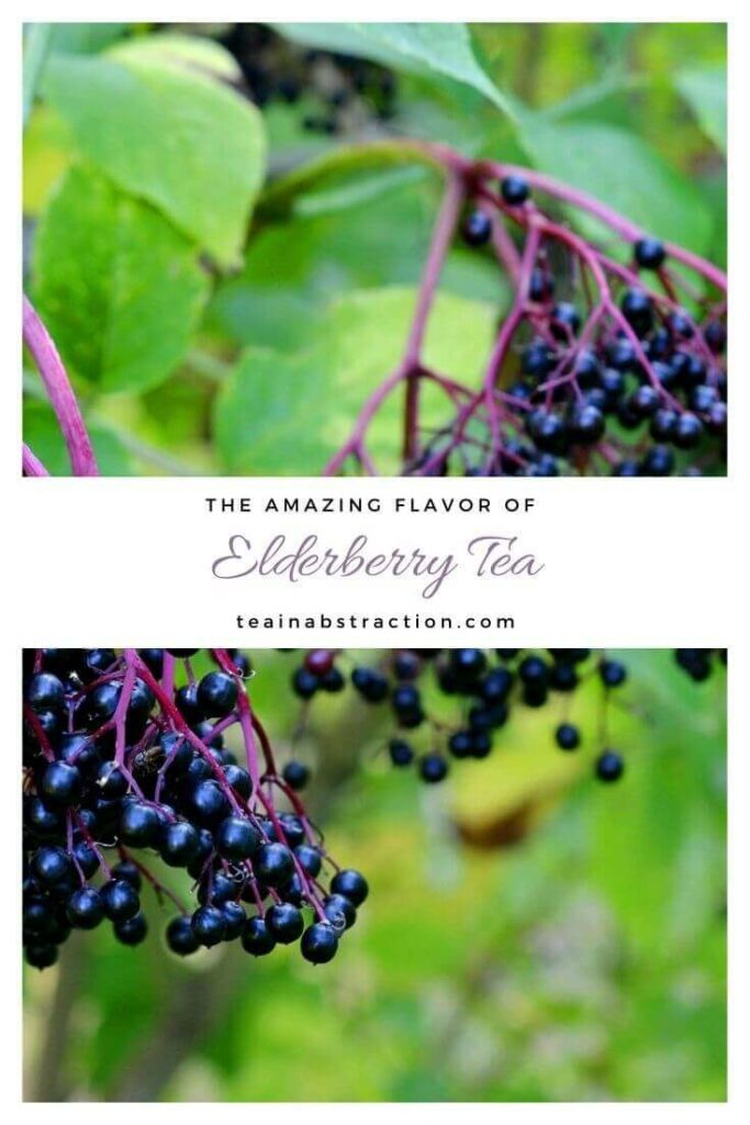 elderberry tea pinterest image